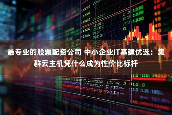 最专业的股票配资公司 中小企业IT基建优选：集群云主机凭什么成为性价比标杆